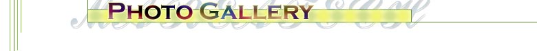 Photo Gallery
